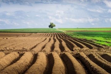 "Убить за землю"- войны коррупционеров в Госгеокадастре "Убить за землю"- войны коррупционеров в Госгеокадастре