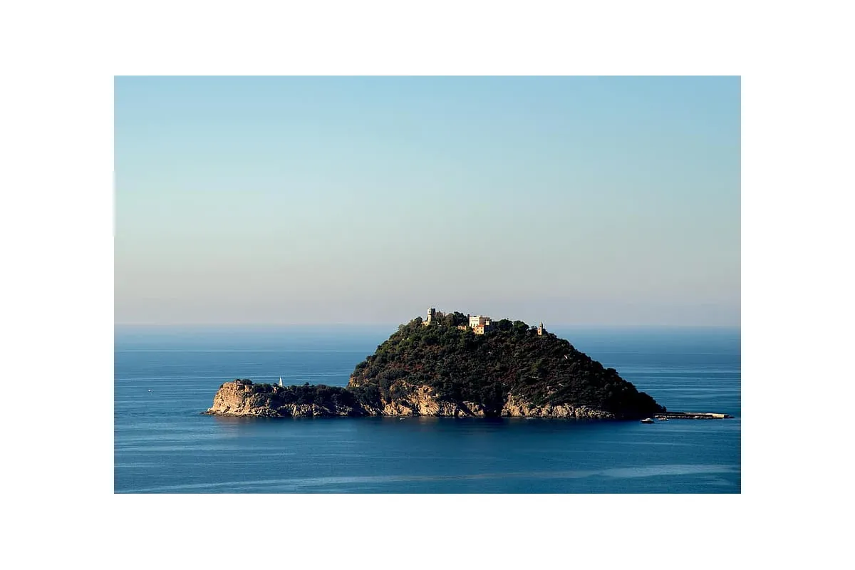 Син Богуслаєва купив італійський острів за 10 мільйонів євро