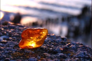 На Житомирщині створена спеціальна моніторингова група поліції з протидії нелегальному видобутку бурштину На Житомирщині створена спеціальна моніторингова група поліції з протидії нелегальному видобутку бурштину