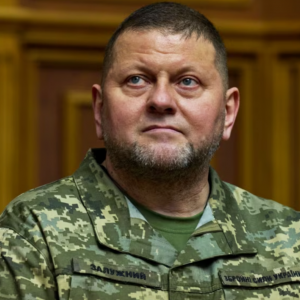 Кочетков: Політичні плани Залужного стають очевидними, попри мовчання його команди Кочетков: Політичні плани Залужного стають очевидними, попри мовчання його команди