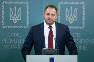 Керівник Офісу Президента: Члени монобільшості на 100% довіряють Володимиру Зеленському Керівник Офісу Президента: Члени монобільшості на 100% довіряють Володимиру Зеленському