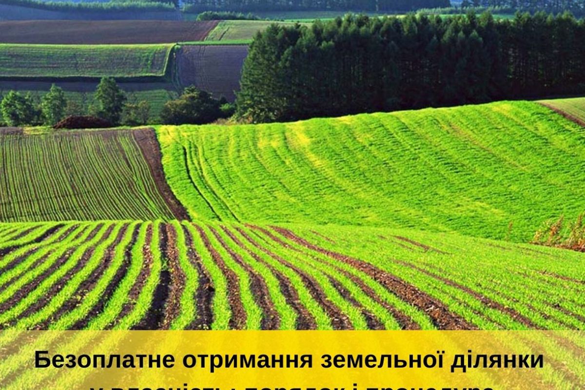 Безоплатне отримання земельної ділянки: порядок і процедура Безоплатне отримання земельної ділянки: порядок і процедура