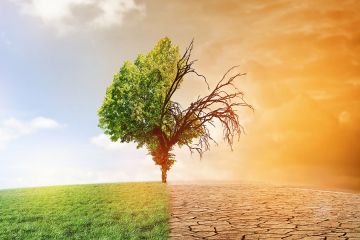 На форумі в Глазго мери зобов'язалися вести міста екологічним шляхом розвитку На форумі в Глазго мери зобов'язалися вести міста екологічним шляхом розвитку