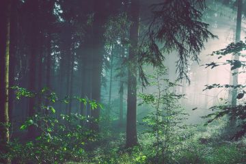 «День енергетики» на КС-26: вугілля – зло, але не всі з цим згодні «День енергетики» на КС-26: вугілля – зло, але не всі з цим згодні