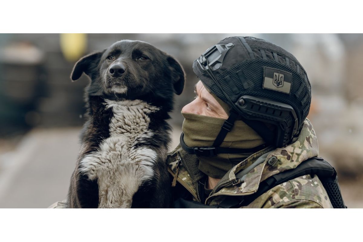UAnimals запустили міжнародну кампанію проти екоциду UAnimals запустили міжнародну кампанію проти екоциду