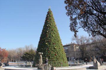 Новорічна красуня на фонтані Новорічна красуня на фонтані