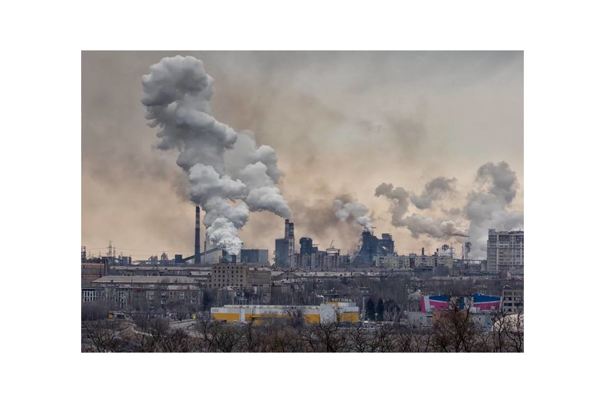 Зеленський відповів на петицію запоріжців Зеленський відповів на петицію запоріжців