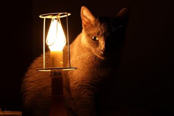 5 грудня 4 регіони України повертаються до планових відключень світла 5 грудня 4 регіони України повертаються до планових відключень світла