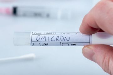 Світом шириться новий COVID-штам, можлива чергова хвиля пандемії — ВООЗ Світом шириться новий COVID-штам, можлива чергова хвиля пандемії — ВООЗ