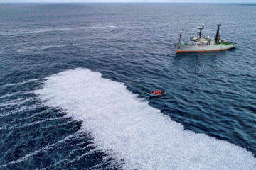 100 тисяч мертвої риби було викинуто в океан   100 тисяч мертвої риби було викинуто в океан