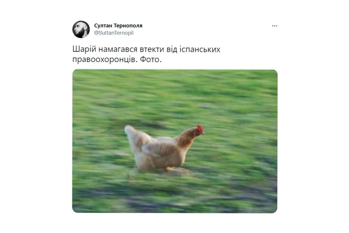 Російське вторгнення в Україну : Зібрали реакції та меми українців щодо затримання блогера Анатолія Шарія Російське вторгнення в Україну : Зібрали реакції та меми українців щодо затримання блогера Анатолія Шарія