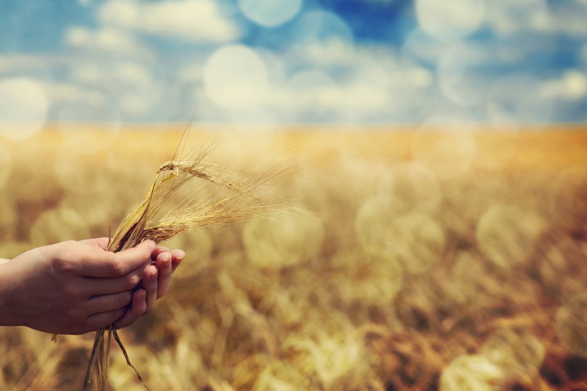 Росіяни атакували узбережжя Миколаївщини, порти та зерносховища Росіяни атакували узбережжя Миколаївщини, порти та зерносховища