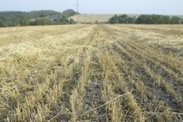 Прокуратура вимагає скасувати правочини, за якими приватні особи незаконно заволоділи 25 га державної землі Прокуратура вимагає скасувати правочини, за якими приватні особи незаконно заволоділи 25 га державної землі