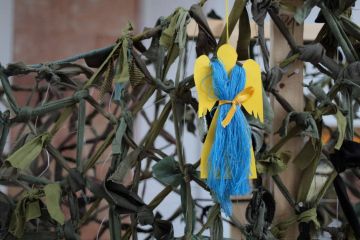 На Львівщині сплели найбільшу маскувальну сітку в Україні На Львівщині сплели найбільшу маскувальну сітку в Україні