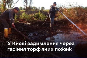 У Києві смог: що робити при задимленні? У Києві смог: що робити при задимленні?