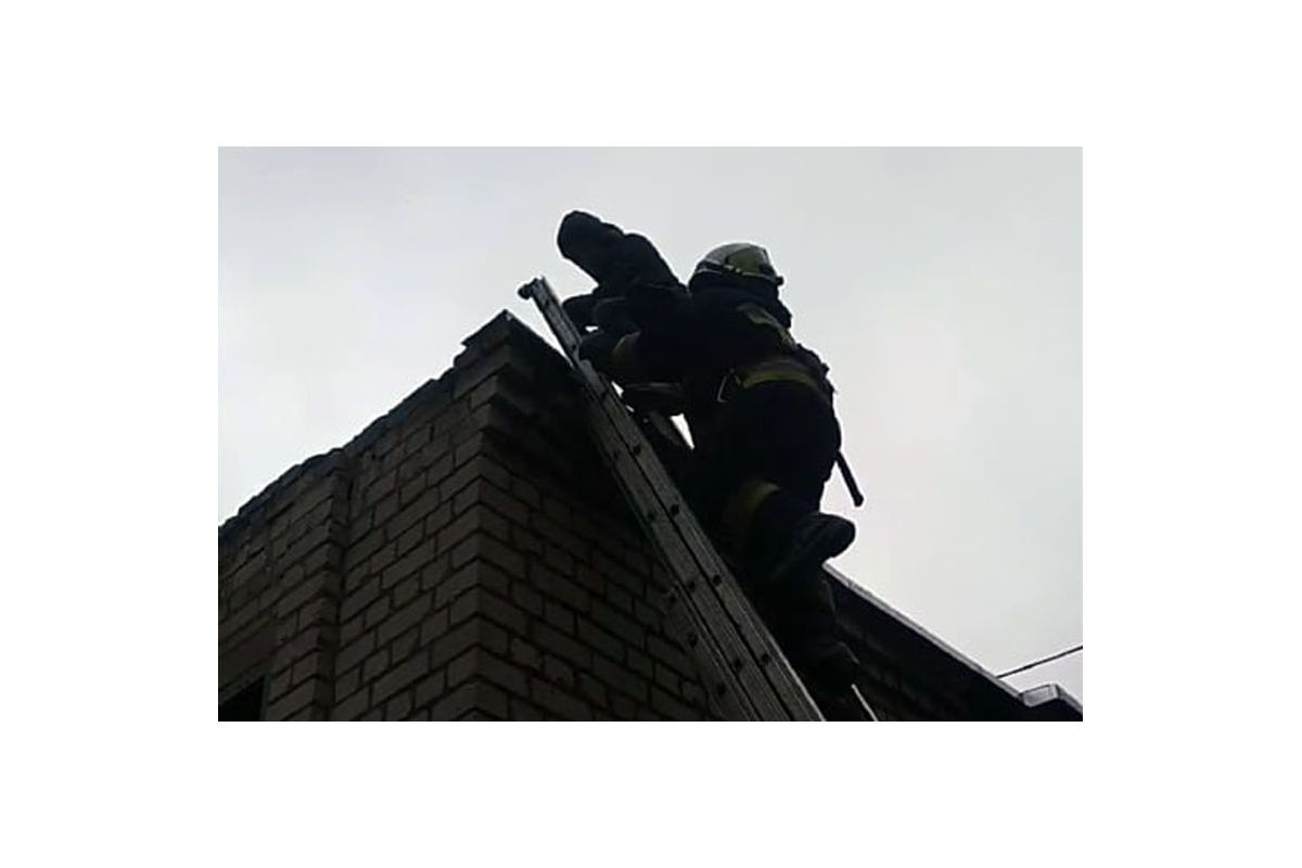 У Дніпрі надзвичайники зняли з даху трансформаторної будки 12-річного бешкетника У Дніпрі надзвичайники зняли з даху трансформаторної будки 12-річного бешкетника