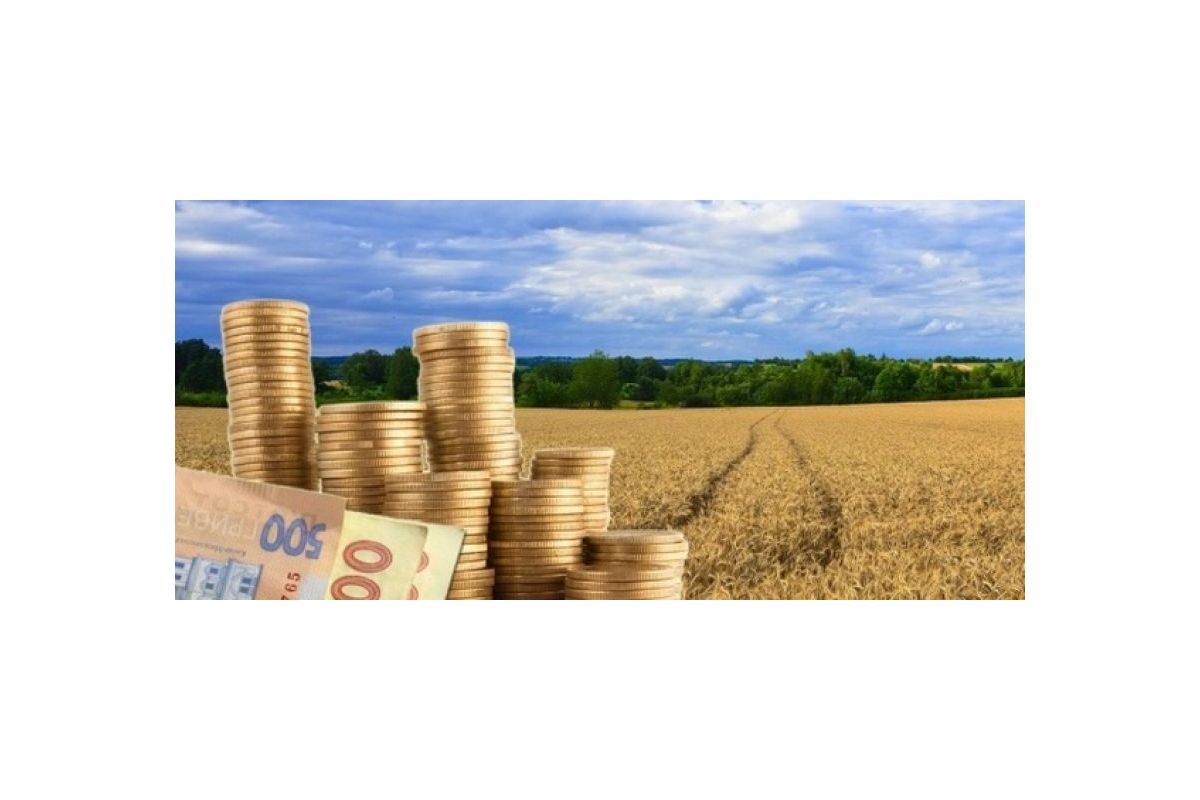 Завдяки прокуратурі державі повернуто майже 60 га земель вартістю 47 млн грн Завдяки прокуратурі державі повернуто майже 60 га земель вартістю 47 млн грн