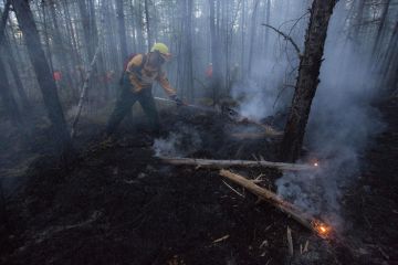 ЮНЕП: час вчитися жити в умовах мінливого клімату ЮНЕП: час вчитися жити в умовах мінливого клімату