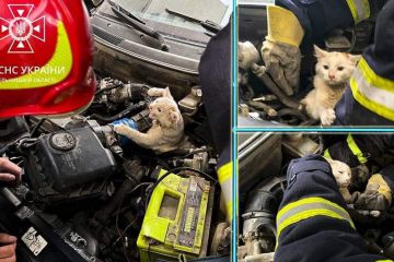 На Хмельниччині рятувальники визволили кошеня, яке застрягло в автівці, ховаючись від холоду На Хмельниччині рятувальники визволили кошеня, яке застрягло в автівці, ховаючись від холоду
