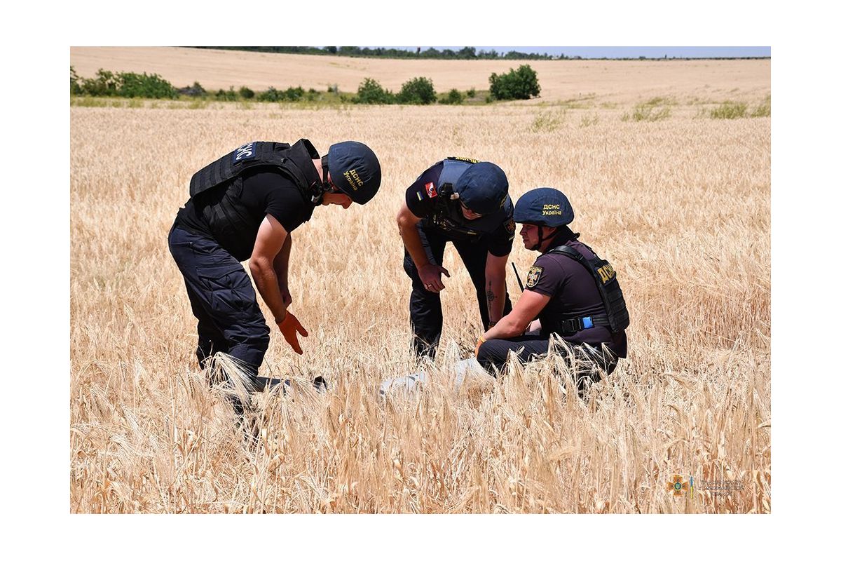 За добу піротехніків ДСНС залучали 239 разів За добу піротехніків ДСНС залучали 239 разів