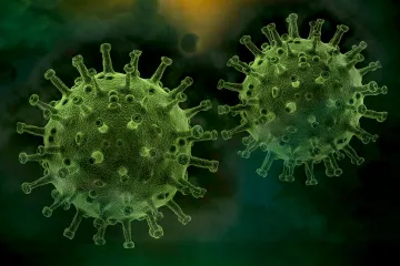 ​Коронавірус та грип: як не захворіти ?