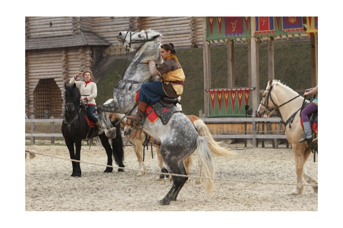 На Київщині пройде кінне шоу з майстер-класами На Київщині пройде кінне шоу з майстер-класами