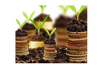 Прокуратура повернула у державну власність сільськогосподарські землі площею 50 га Прокуратура повернула у державну власність сільськогосподарські землі площею 50 га