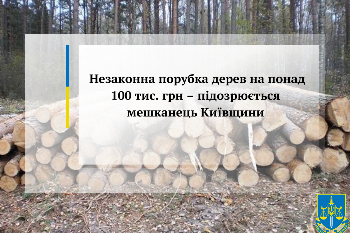 Незаконна порубка дерев на понад 100 тис. грн – підозрюється мешканець Київщини Незаконна порубка дерев на понад 100 тис. грн – підозрюється мешканець Київщини