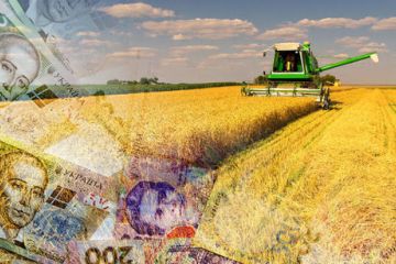 Що робити та як виживати: такі питання ставлять собі розгублені аграрії України! Що робити та як виживати: такі питання ставлять собі розгублені аграрії України!