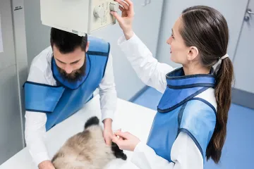 ​Ветеринарні рентген-апарати: особливості використання