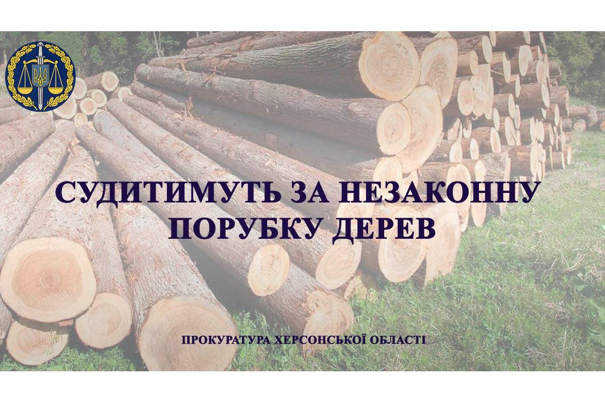 На Херсонщині судитимуть 32 - річного чоловіка за незаконну порубку дерев