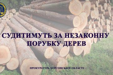 На Херсонщині судитимуть 32 - річного чоловіка за незаконну порубку дерев На Херсонщині судитимуть 32 - річного чоловіка за незаконну порубку дерев