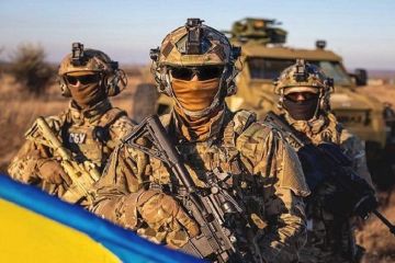 СБУ відкрила понад 6 тис. кримінальних проваджень за злочини проти України (відео) СБУ відкрила понад 6 тис. кримінальних проваджень за злочини проти України (відео)