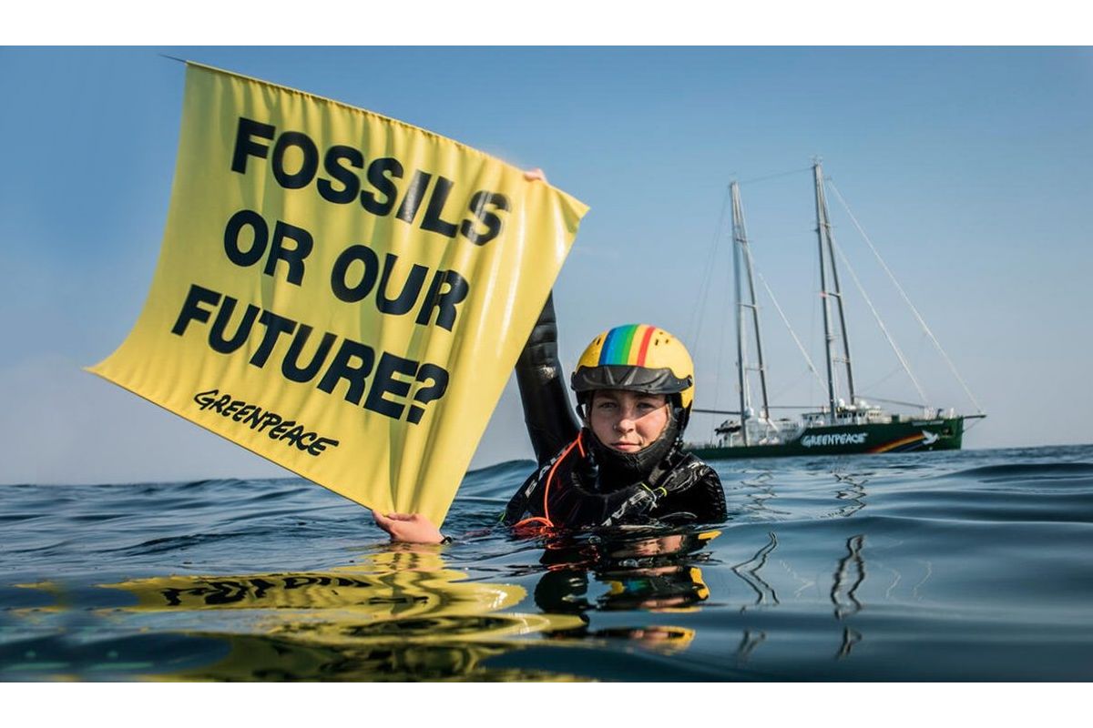 Діяльність «Грінпіс» в Україні в 1980-1990-х роках Діяльність «Грінпіс» в Україні в 1980-1990-х роках