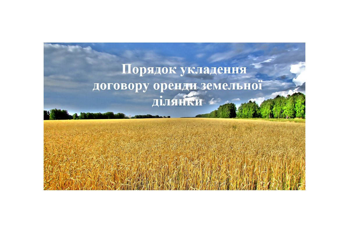 Порядок укладення договору оренди земельної ділянки  Порядок укладення договору оренди земельної ділянки