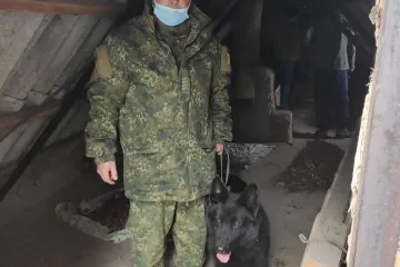 ​У Покрові службовий пес Кузьма знайшов наркотики та тротилову шашку