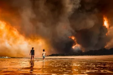 ​Інформаційний центр з міжнародних досліджень Cordis: як австралійські лісові пожежі вплинули на зону океану