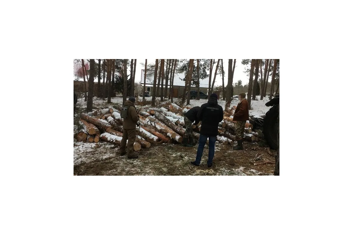 СБУ блокувала розкрадання деревини з держлісгоспів Одещини
