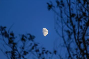 Як забезпечити собі якісний сон?  Пояснюємо Як забезпечити собі якісний сон?  Пояснюємо