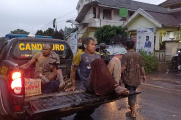 Через викиди пилу та диму  загинуло більш ніж 10 людей Через викиди пилу та диму  загинуло більш ніж 10 людей