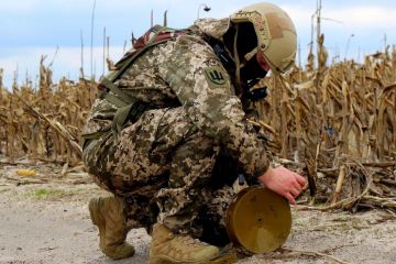 Сили підтримки ЗСУ знешкодили та знищили понад 42 000 вибухонебезпечних предметів, - командувач Сил підтримки ЗСУ бригадний генерал Дмитро Герега Сили підтримки ЗСУ знешкодили та знищили понад 42 000 вибухонебезпечних предметів, - командувач Сил підтримки ЗСУ бригадний генерал Дмитро Герега