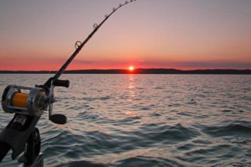 Під Сумами рибаки вбили свого друга і перевозили тіло в багажнику Під Сумами рибаки вбили свого друга і перевозили тіло в багажнику