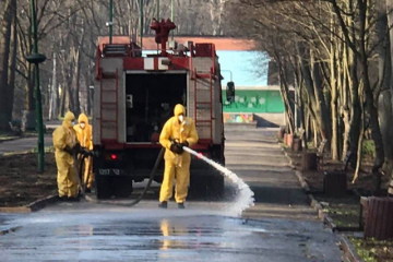 Після дезінфекції вулиць у Києві постраждали тварини Після дезінфекції вулиць у Києві постраждали тварини