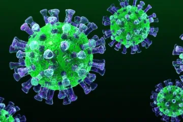 ​Туреччина успішно пройшла випробовування вакцини від коронавірусу