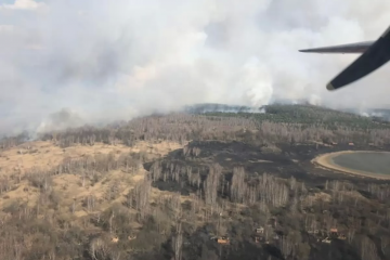 Поліцейські затримали причетного до пожеж в Чорнобилі Поліцейські затримали причетного до пожеж в Чорнобилі