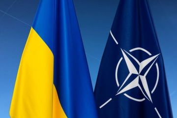 Російське вторгнення в Україну : НАТО підтримуватиме Україну до повної перемоги Російське вторгнення в Україну : НАТО підтримуватиме Україну до повної перемоги