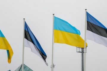 Російське вторгнення в Україну : Естонія допоможе відновити Житомирську область Російське вторгнення в Україну : Естонія допоможе відновити Житомирську область