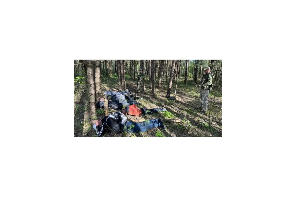 На Львівщині у лісі затримали п’ятьох чоловіків