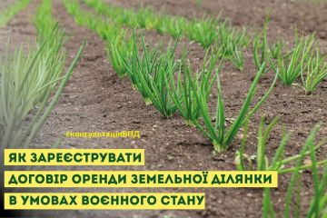 Як зареєструвати договір оренди земельної ділянки в умовах воєнного стану Як зареєструвати договір оренди земельної ділянки в умовах воєнного стану