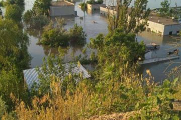 Затоплено єдиний в Україні державний осетровий завод Затоплено єдиний в Україні державний осетровий завод